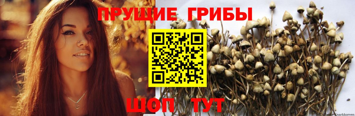 Сызрань  Галлюциногенные грибы ЛСД  Вход с VPN 